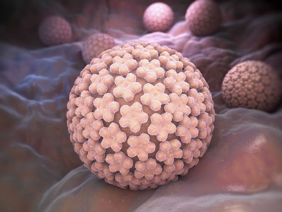 uzročnici HPV-a